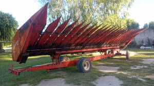 Girasolero Mainero 12 A 70, Disponible, Balcarce
