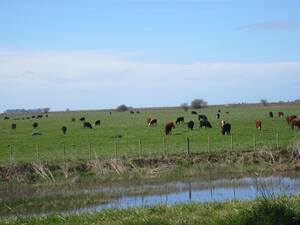 Estancia en Venta Ganadera De 8600 Hectareas En General - Conesa