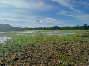 Gran Oportunidad Chaco-Campo Mixto En Venta. 300Ha