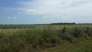 Vendo Campo En Chaco Hermoso Campo 128 Has