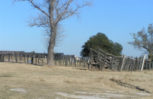 Importante Campo Mixto En La Paz Entre Rios
