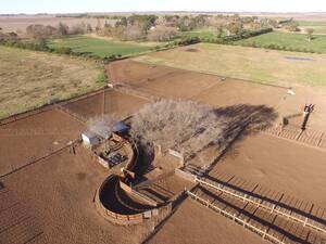 Instalaciones Completas Agromaderas Garcia - Llave En Mano