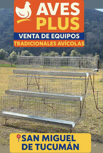 Jaulas Para Gallinas Ponedoras