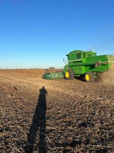 John Deere 1175. Plataforma de 23 pies. 