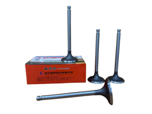 Kit Valvulas Escape Motor Xinchai 490Bpg