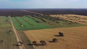Vendo Campo En La Pampa Al Norte 700 Has Mix Gran Campo