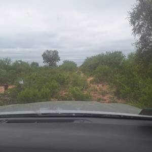 LA RIOJA 4800 HAS A DESARROLLAR