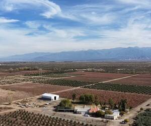 Finca + Fábrica - Lavalle - Mendoza