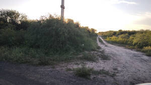 Liquido Hermoso Campo Bosque Nativo- Sunchalito. 500 Ha