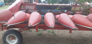 Maicero Ombu 7 A 52 Cm