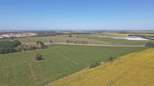 Mar Del Plata - 236 Has. Agricola Sobre Ruta.