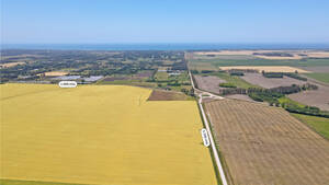 Mar Del Plata - 546 Has. Agricola