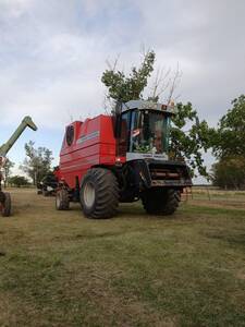 Massey Ferguson 34. Plataforma de 25 pies y draper de 30 pies. 