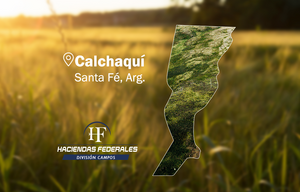 Mixto Agrícola Ganadero en Calchaquí, Santa Fé