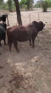 Vendo Campo En Santiago Del Estero Nueva Esperanza
