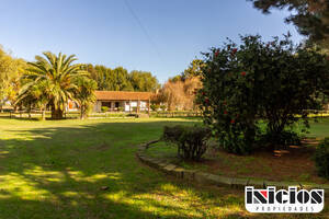 Oportunidad de Inversión: Casa Quinta de Gran Extensión sobre 4 Chacras