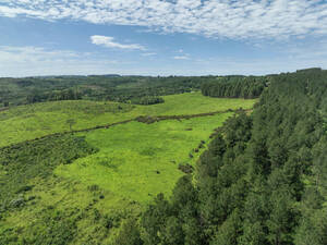 Campo Forestal - Pozo Azul 776 ha