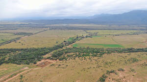 Campo Mixto - Quisto 6310 Has - Salta