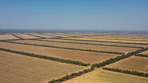 Campo Agricola - Senda Hachada 1000 Has - Salta