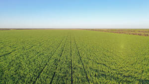 Campo Agricola - Campo Gallo 2440 Has - Sgo. Del Estero