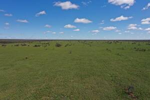 Campo Mixto - Nahuel Mapá 7742 Has - San Luis