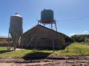 Planta Cria De Cerdos Y Campo Agricola Arrecifes