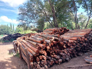 Postes De Quebracho Colorado, Itin, Palo Santo,calden