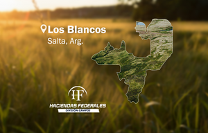 Pozo Largo 10.392 Has. Los Blancos, Salta