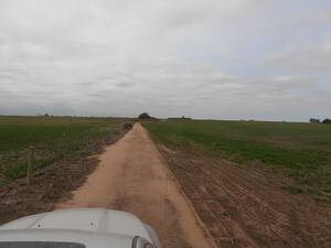 Vendo Campo En Cordoba Proximo A Matorrales 120 Has