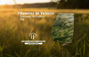 Ramírez de Velazco, Santiago del Estero 3.950 hectáreas