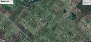 REALICO LA PAMPA ARGENTINA