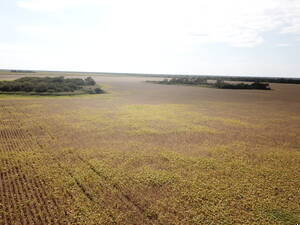 Sachayoj 850 Hectareas Agricolas