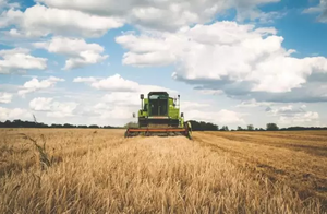 Sachayoj - Sgo Del Estero - 563Has /346Has Agricolas