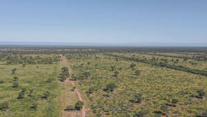 Campo Ganadero - San Antonio 4380 ha