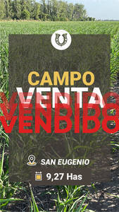 San Eugenio 9 Has Agrícolas. Campo En Venta