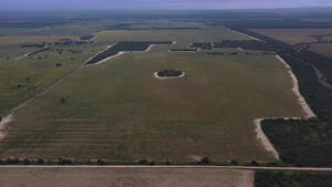 Vendo Campo En San Luis Coronel Alzogaray Agricola