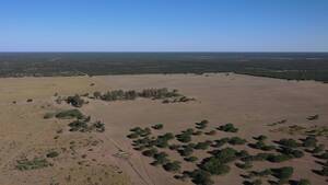 Vendo Campo En San Luis Ganadero 10.000 Has Armado