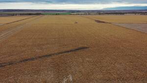 Vendo Campo En San Luis Naschel Al Oeste 164 Has