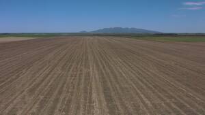 Vendo Campo En San Luis Naschel 160 Has Agrícolas
