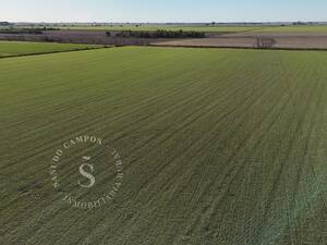 Santa María Centro, Santa Fe. Venta Campo Agrícola. 62 hectáreas.