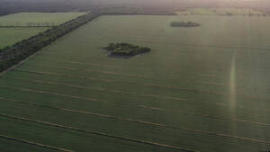 Vendo Campo En Santiago Del Estero 370 Has Agrícolas
