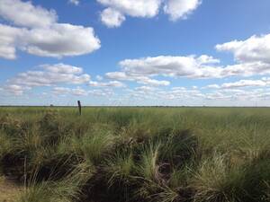 Vendo Campo En Santiago Del Estero 9800 Has