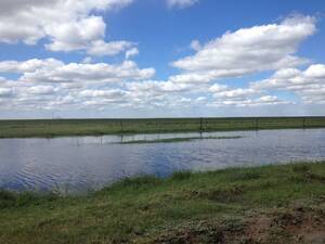 Vendo Campo En Santiago Del Estero 2800 Has