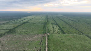 Santiago Del Estero Gran Campo Ganadero