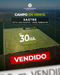 Sastre 30 Has Agrícolas. Campo En Venta
