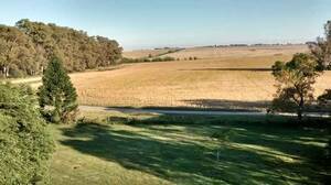 Buscamos Campos Agricolas En Arrendamiento, Entre Rios.