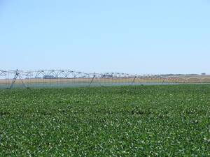 SE de Bs As, Zona con Riego, ideal planteos agrícolas con alta renta