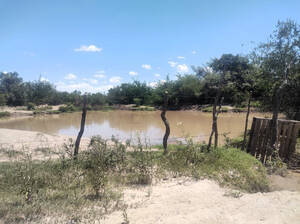 Se Vende Campo De 56 Hectáreas En San Luis