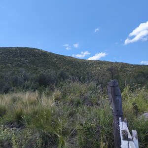 Se Vende Campo Serrano