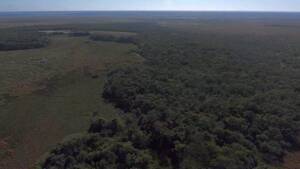 Selvas Del Rio De Oro 1432 Ha - Chaco
